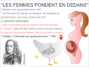 Les femmes pondent en dedans - L'Homme aux quarante écus - Voltaire